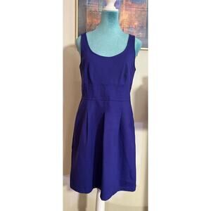 Loft Blue Dress
Petite size 6